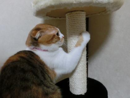 タワー4