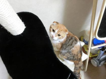 タワー3