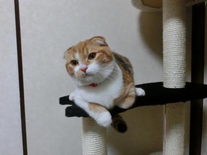 タワー1