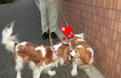 チュッ♪