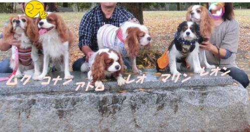 集合写真。