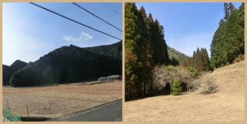 田舎の風景。