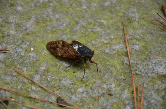 s-DSC_0718.jpg