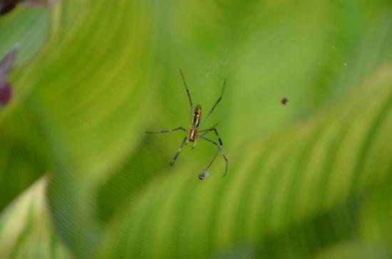 s-DSC_0727.jpg