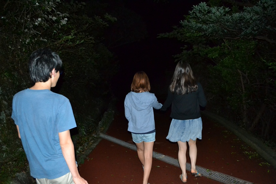 DSC_0850_20120920163138.jpg