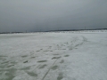 DSC_0234.jpg