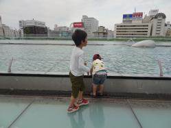 DSC06085.jpg