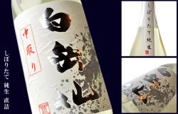 hakugakusen_sibori-junnama_640.jpg