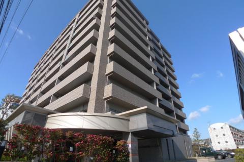 455008_01.jpg