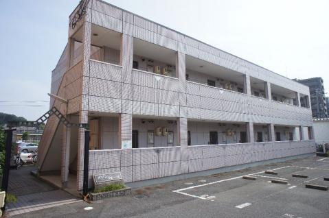 DSC02454.jpg