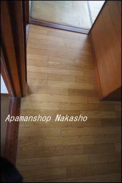 DSC06779.jpg
