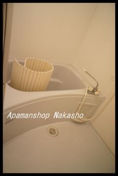 DSC08415.jpg