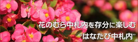はなたび中札内