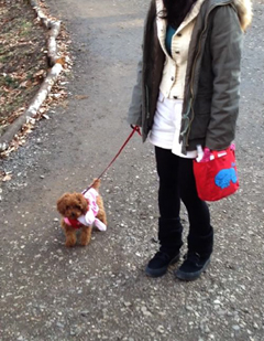 20120211_05.jpg