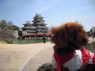 20120425_07.jpg