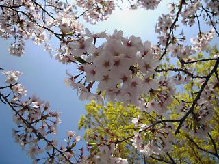20120425_08.jpg