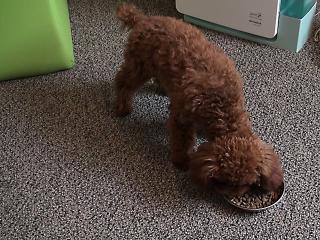 20120425_15.jpg