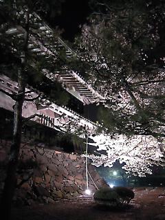20120425_19.jpg