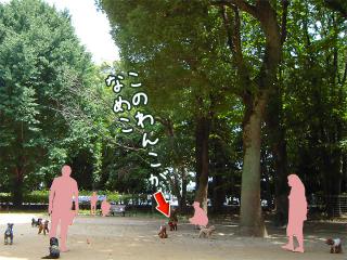 20120710_01.jpg
