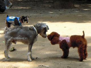 20120710_02.jpg
