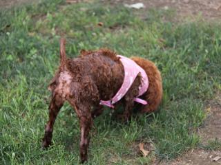 20120714_01.jpg