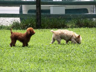 20120714_04.jpg