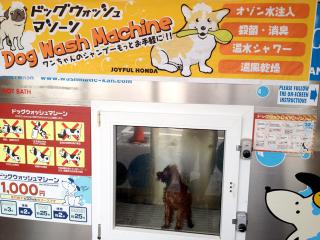 20120714_06.jpg