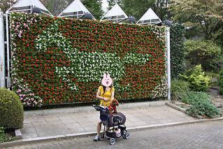 20120917_01.jpg