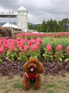 20120917_02.jpg