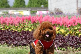 20120917_04.jpg