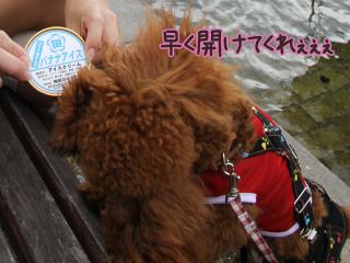 20120917_06.jpg