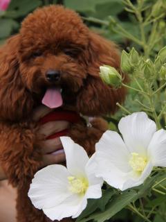 20120917_09.jpg