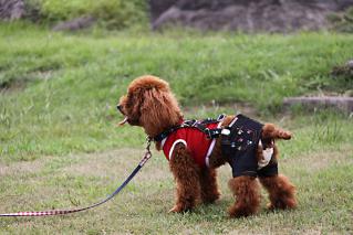 20120917_10.jpg