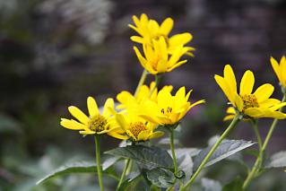 20120917_11.jpg