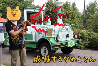 20120917_13.jpg