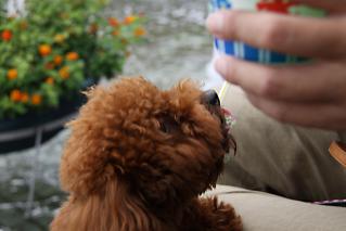 20120917_14.jpg