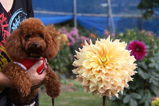 20120917_15.jpg