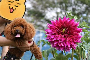 20120917_16.jpg