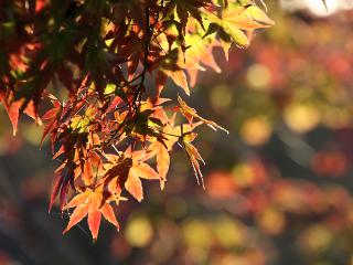20121025_01.jpg