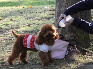 20121025_02.jpg