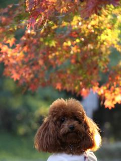 20121025_04.jpg