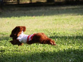 20121025_05.jpg
