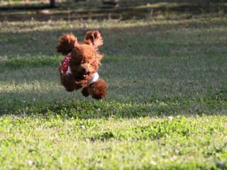 20121025_06.jpg