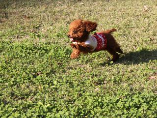 20121025_07.jpg