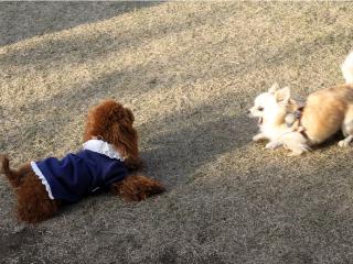 20121122_01.jpg