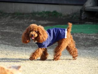 20121122_02.jpg