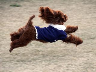 20121122_04.jpg