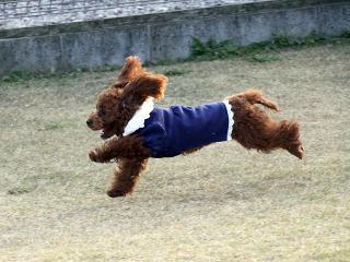 20121122_05.jpg