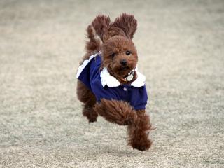 20121122_06.jpg