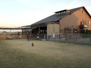 20121122_09.jpg